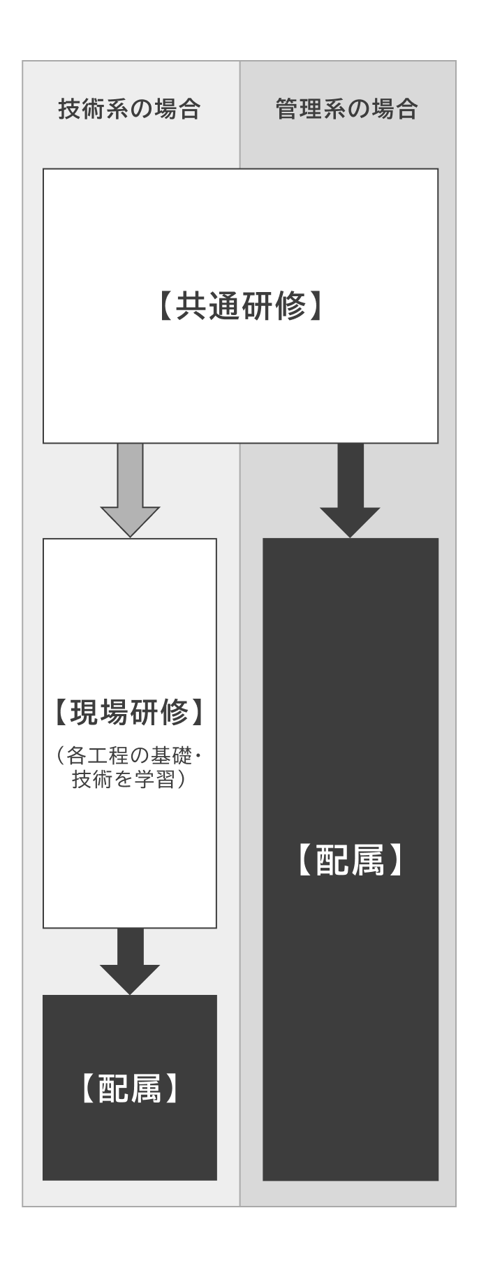 管理系は共通研修を経て配属、技術系は現場研修（各工程の基礎・技術を学習）を経て配属されます